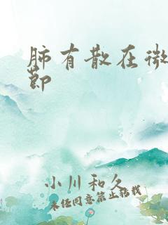 肺有散在微小结节