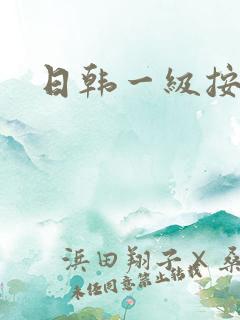 日韩一级按摩片