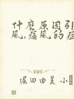 什么原因引起痛风,痛风的症状有哪些