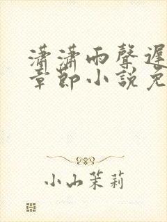 潇潇雨声迟最新章节小说免费阅读