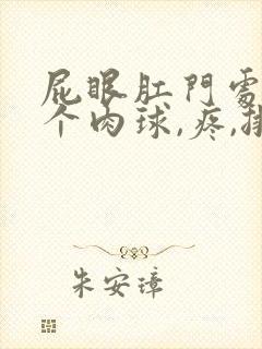 屁眼肛门处有一个肉球,疼,排便带血