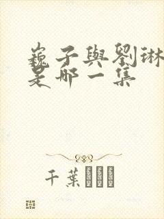 巍子与刘琳吻戏是哪一集