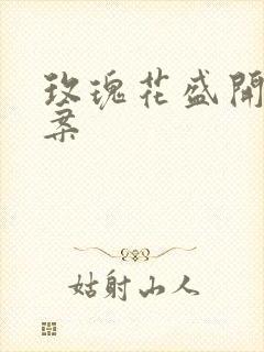 玫瑰花盛开的文案