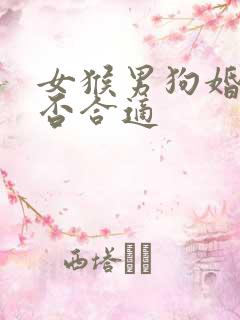 女猴男狗婚配是否合适