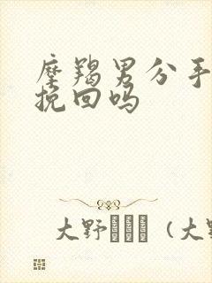 摩羯男分手后能挽回吗