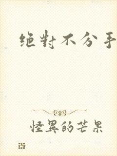 绝对不分手小说
