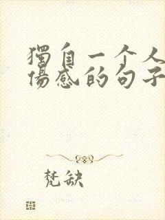 独自一个人承受伤感的句子