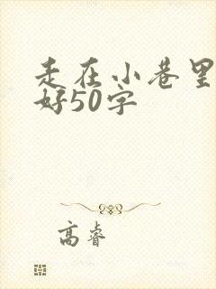 走在小巷里心情好50字