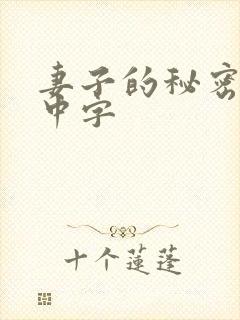 妻子的秘密按摩中字