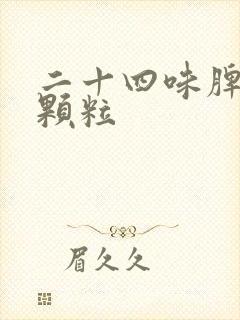 二十四味脾胃舒颗粒