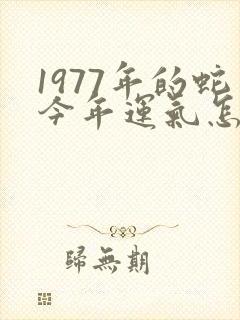 1977年的蛇今年运气怎么样
