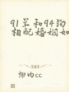 91羊和94狗相配婚姻如何