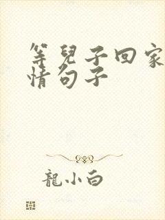 等儿子回家的心情句子