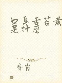 口臭舌苔黄厚腻是什么