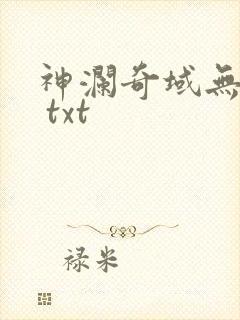 神澜奇域无双珠 txt