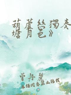 葫芦丝独奏《荷塘月色》