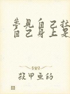 梦见自己拉屎拉自己身上是什么意思