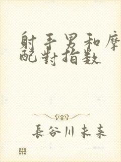 射手男和摩羯女配对指数