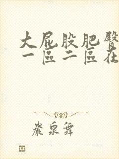 大屁股肥臀熟女一区二区在线