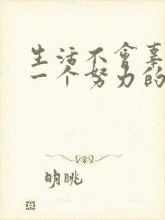 生活不会辜负每一个努力的人