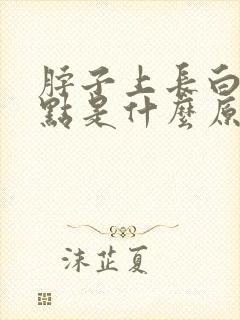 脖子上长白色点点是什么原因