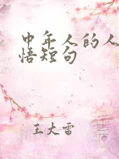 中年人的人生感悟短句