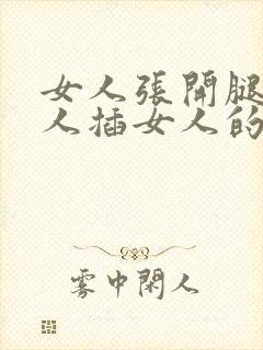 女人张开腿让男人插女人的视频