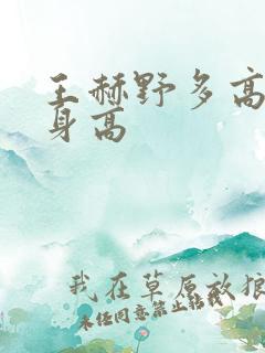 王赫野多高真实身高