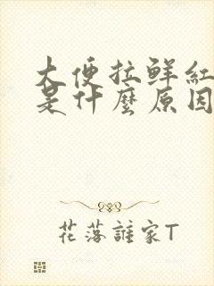 大便拉鲜红的血是什么原因