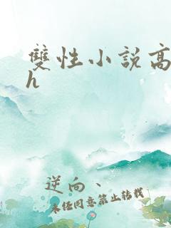 双性小说高肉高h