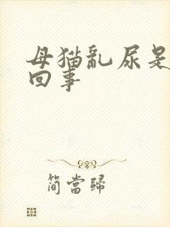 母猫乱尿是怎么回事