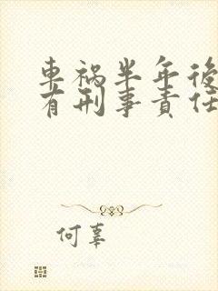 车祸半年后死亡有刑事责任吗