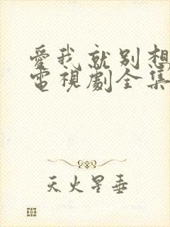 爱我就别想太多电视剧全集免费观看高清