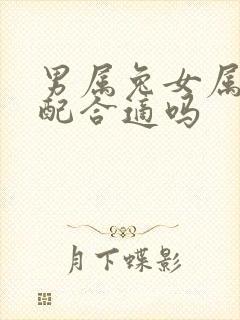 男属兔女属龙婚配合适吗