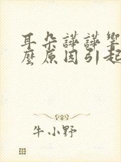 耳朵哗哗响是什么原因引起的