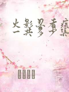 火影忍者疾风传一共多少集