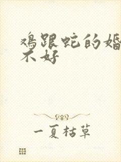 鸡跟蛇的婚配好不好