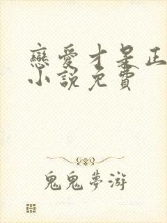 恋爱才是正经事小说免费