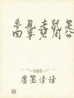 梦见老鼠是怎么回事儿周公解梦