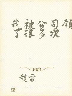 我被公司领导C了很多次