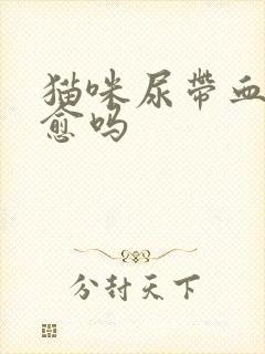 猫咪尿带血能自愈吗