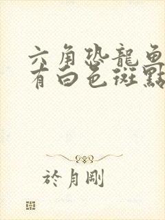 六角恐龙鱼身上有白色斑点