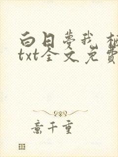 白日梦我 栖见txt全文免费