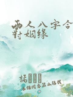 两人八字合婚配对姻缘