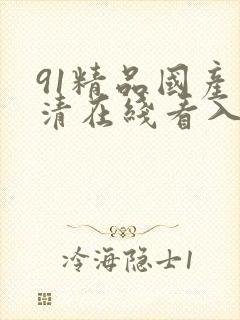 91精品国产高清在线看入口