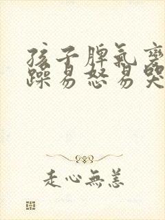 孩子脾气变得暴躁易怒易哭