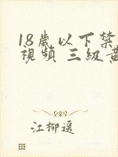 18岁以下禁看视频 三级黄