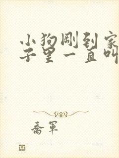 小狗刚到家关笼子里一直叫怎么办