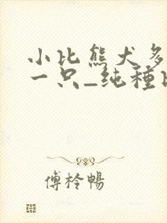 小比熊犬多少钱一只_纯种比熊价格