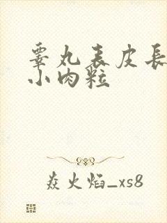 睾丸表皮长了个小肉粒